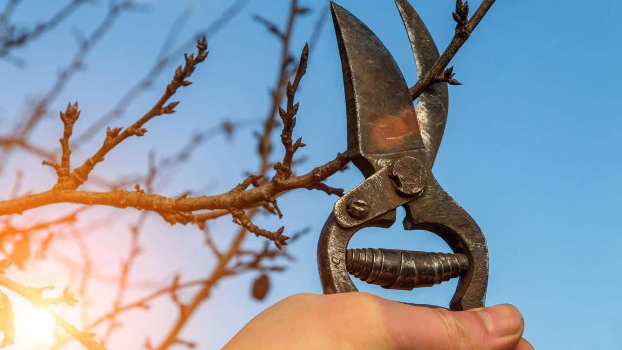 10 κανόνες κηπουρικής μπορείτε να σπάσετε εντελώς (και να έχετε εκπληκτικά αποτελέσματα) 2